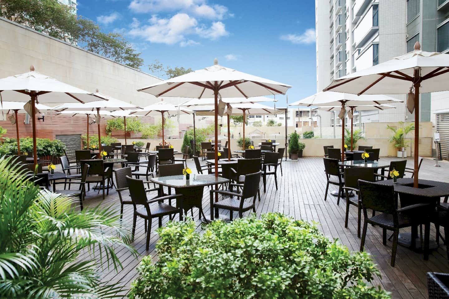 8度海逸酒店 （ Harbour Plaza 8 Degrees ）