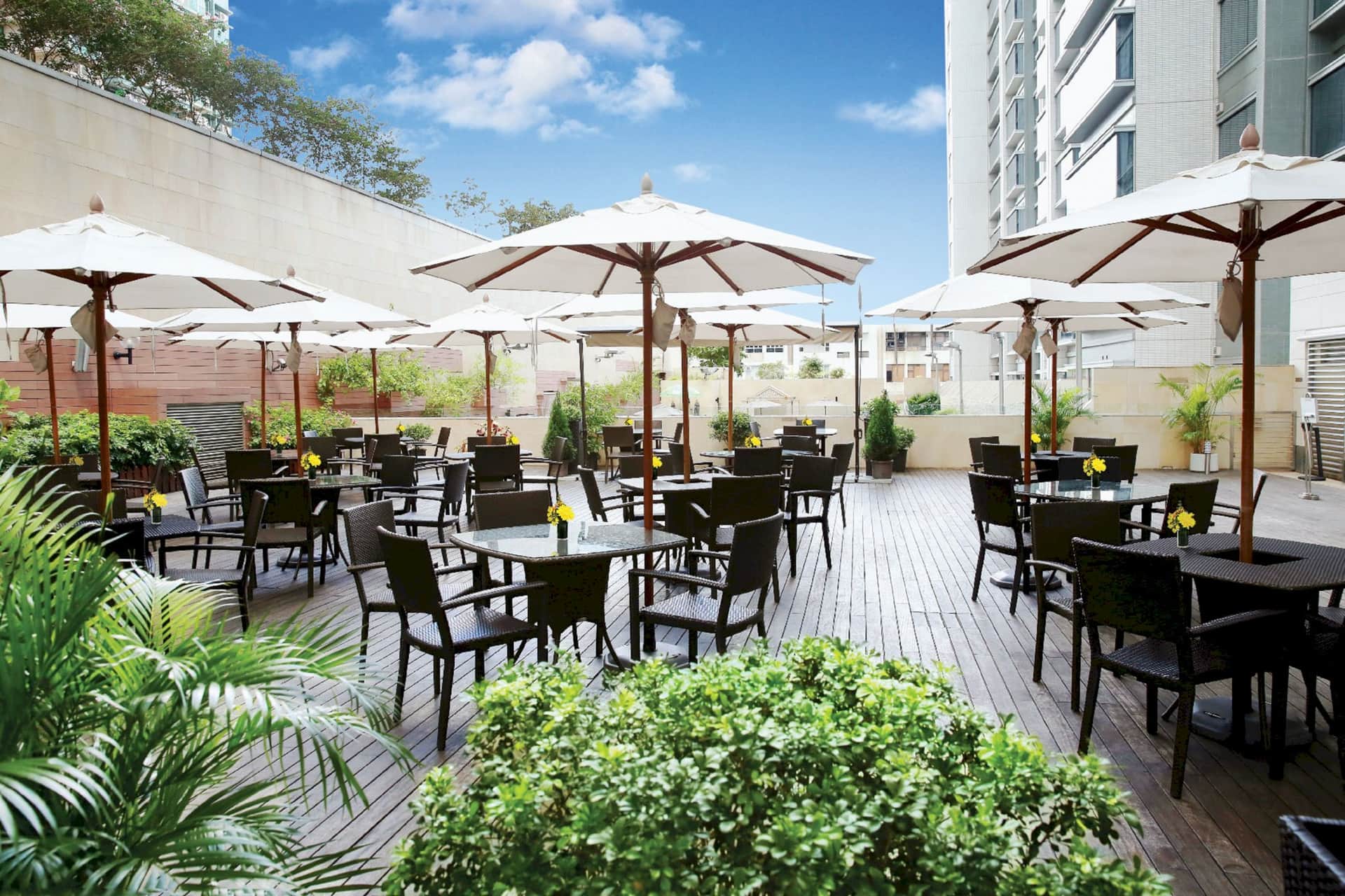 8度海逸酒店 （ Harbour Plaza 8 Degrees ）