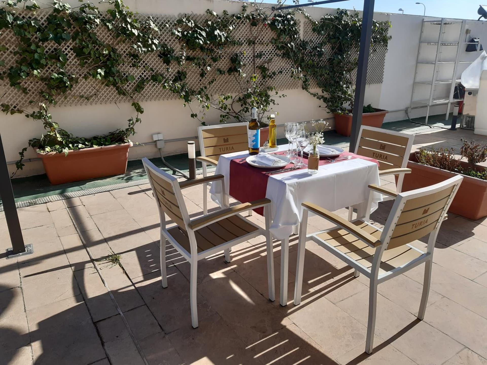 Xon's Valencia