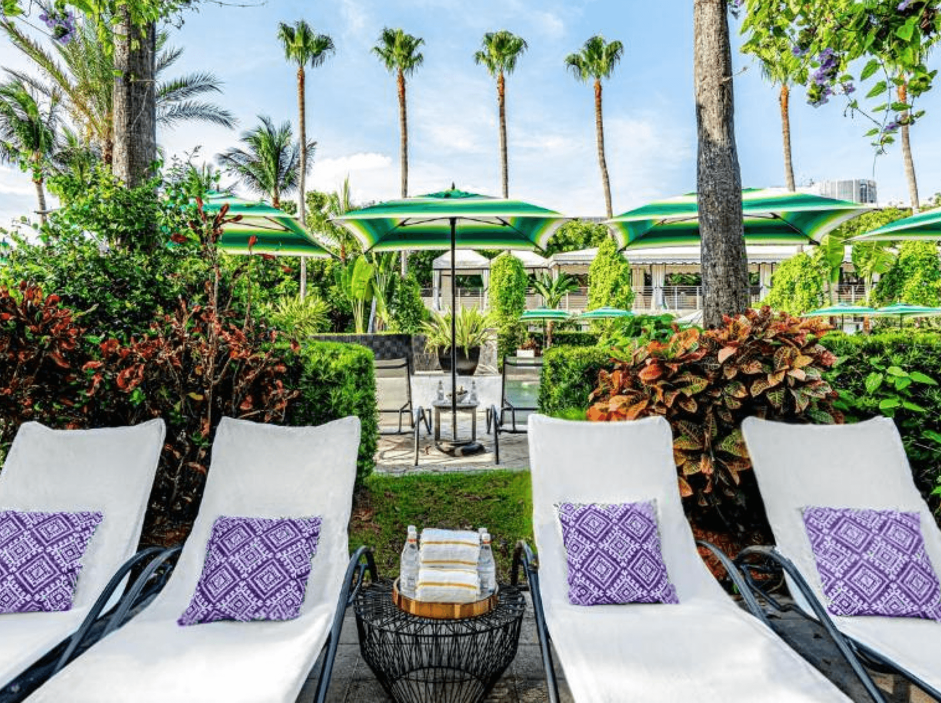 Kimpton Surfcomber Hotel by IHG
