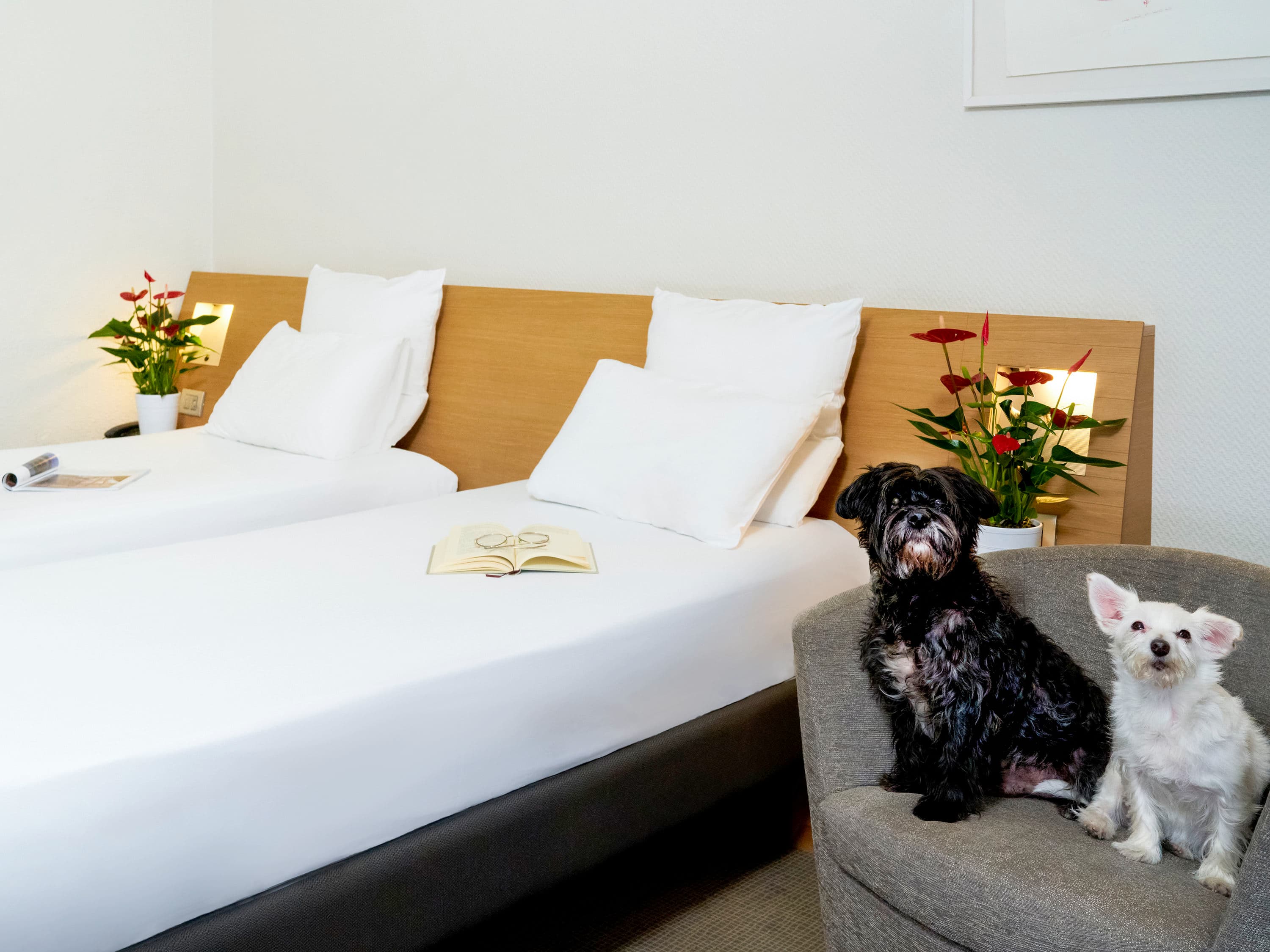 Novotel Milano Nord Ca Granda